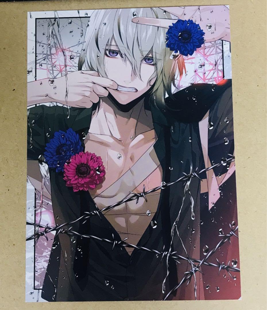 Amazon.co.jp: カラーマリス イラストカード 岡崎契 : おもちゃ